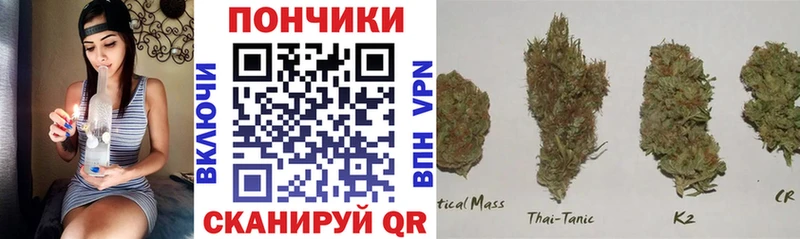 где продают   Белинский  Бошки марихуана OG Kush 